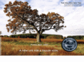 earthmedallions.com