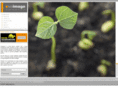 evoimage.com