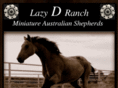 lazydranchaussies.com