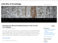 littlebitsofknowledge.com