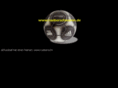 rueberschiessen.com
