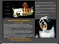 kingvetequipment.com
