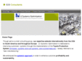 lcsystemsoptimizationllc.com