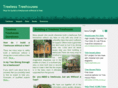 treelesstreehouse.com