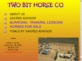 twobithorseco.com