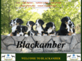 blackamberswissies.com