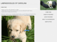 labradoodlesofcarolina.com