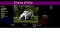 sheilawhitephotography.com