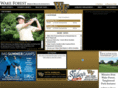 wakeforestsports.com