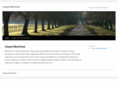 carpetmachines.net