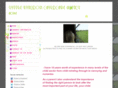 lkchildcareagency.com
