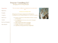 preponeconsulting.com