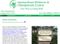 springroadchiropractic.com
