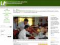 cip-upward.org