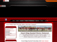 dridgebaseball.com