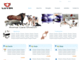 lutim.net