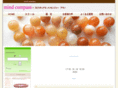 spmessage.com
