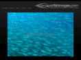 sportfishimages.com