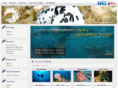 blueforestdive.com