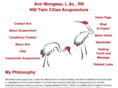 nwtwincitiesacupuncture.com