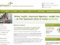 taymount.com