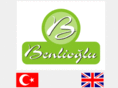 benliogluzeytin.com