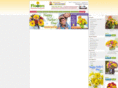 cheapestflowers.org