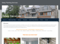seleypainting.com