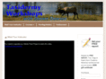 taxidermyworkshops.com
