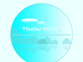 tsnowstudio.com