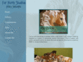 farnorthstudios.net