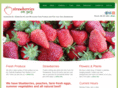 strawberrieson903.com