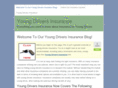 youngdriversinsurancenow.com