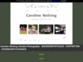 carolinewelsing.com