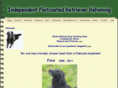 flatcoated-retriever.info