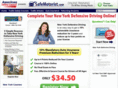 newyorksafemotorist.com
