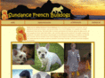 sundancefrenchbulldogs.org