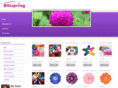 blisspring.com
