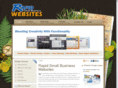 rapidsmallbusinesswebsites.com