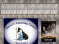 stevesamazinggrace.com