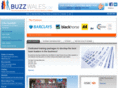 buzzwales.com