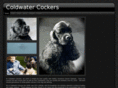 coldwatercockers.com
