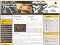 northwalesfishermensco-op.com