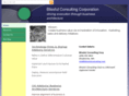 blissfulconsulting.com