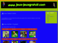 jeux-jeuxgratuit.com
