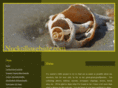 nuckollswebsite.com