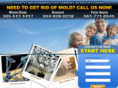 molddamagefl.com