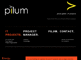 project-management-it.com