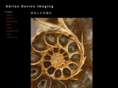 adriandaviesimaging.com