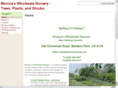 monicasnursery.net